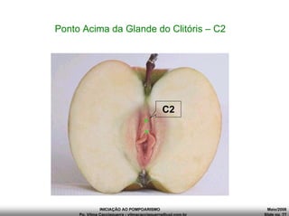INICIAÇÃO AO POMPOARISMO Maio/2008
Pp. Vilma Cacciaguerra - vilmacacciaguerra@uol.com.br Slide no. 77
Ponto Acima da Glande do Clitóris – C2
C2
 