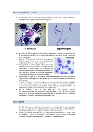 CICLO DE VIDA DO PARASITA
 O protozoário, em seu ciclo de desenvolvimento, assume duas formas evolutivas:
amastigota (sem flagelo) e promastigota (flagelada).
 A primeira se desenvolve dentro do corpo dos hospedeiros e dos reservatórios. Uma vez
lá, o amastigota multiplica-se no interior de células de defesa do sangue conhecidas
como macrófagos.
 Quando o flebotomíneo se alimenta do sangue de
um hospedeiro, infecta-se com os amastigotas que,
então, se transformam em promastigotas.
 Na seqüência, os promastigotas reproduzem-se no
tubo digestivo do inseto. Ao final de um processo de
modificação, os promastigotas são inoculados em
novos hospedeiros pela picada do flebotomíneo, nos
quais voltam a assumir a forma de amastigotas,
completando, assim, o ciclo evolutivo do parasito.
 A diversidade de espécies de Leishmania, associada à capacidade de resposta imune de
cada indivíduo à infecção, está relacionada com as várias formas de manifestação da
leishmaniose.
 As tegumentares são em geral menos graves, visto que seus efeitos restringem-se à pele
e às mucosas. Já a leishmaniose visceral, como o próprio nome indica, afetam as
vísceras (ou órgãos internos), sobretudo o fígado, o baço, os gânglios linfáticos e a
medula óssea, podendo levar à morte quando não tratada.
 Até o momento, não se sabe bem por que algumas espécies
de Leishmania (denominadas dermotrópicas) permanecem na pele e mucosas enquanto
outras estão adaptadas ao parasitismo das vísceras. É possível que este fato esteja
relacionado a diferentes graus de sensibilidade ao calor.
TRATAMENTO
 Não há vacina contra as leishmanioses, assim como ainda não há para quaisquer
doenças parasitárias humanas. Portanto, as medidas mais utilizadas para o combate da
enfermidade se baseiam no controle de vetores e dos reservatórios.
 Para todas as formas de leishmaniose, o tratamento de primeira linha se faz por meio
de remédios a base de antimoniais pentavalentes. Outras drogas, comumente
utilizadas, são, como segunda escolha, a anfotericina B e a pentamidina.
 