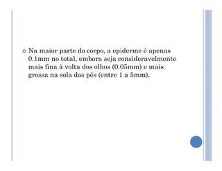  Na maior parte do corpo, a epiderme é apenas
0.1mm no total, embora seja consideravelmente
mais fina à volta dos olhos (0.05mm) e mais
grossa na sola dos pés (entre 1 a 5mm).
 
