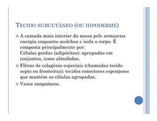 TECIDO SUBCUTÂNEO (OU HIPODERME)
 A camada mais interior da nossa pele armazena
energia enquanto acolchoa e isola o corpo. É
composta principalmente por:
Células gordas (adipócitos): agrupadas em
conjuntos, como almofadas.
conjuntos, como almofadas.
 Fibras de colagénio especiais (chamadas tecido
septo ou fronteiras): tecidos conectores esponjosos
que mantêm as células agrupadas.
 Vasos sanguíneos.
 