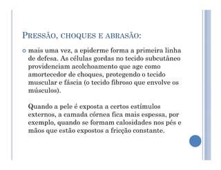 PRESSÃO, CHOQUES E ABRASÃO:
 mais uma vez, a epiderme forma a primeira linha
de defesa. As células gordas no tecido subcutâneo
providenciam acolchoamento que age como
amortecedor de choques, protegendo o tecido
muscular e fáscia (o tecido fibroso que envolve os
muscular e fáscia (o tecido fibroso que envolve os
músculos).
Quando a pele é exposta a certos estímulos
externos, a camada córnea fica mais espessa, por
exemplo, quando se formam calosidades nos pés e
mãos que estão expostos a fricção constante.
 