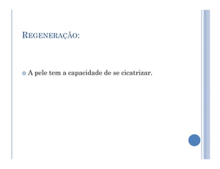 REGENERAÇÃO:
 A pele tem a capacidade de se cicatrizar.
 