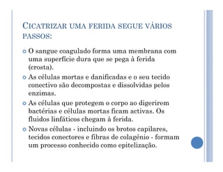 CICATRIZAR UMA FERIDA SEGUE VÁRIOS
PASSOS:
 O sangue coagulado forma uma membrana com
uma superfície dura que se pega à ferida
(crosta).
 As células mortas e danificadas e o seu tecido
conectivo são decompostas e dissolvidas pelos
conectivo são decompostas e dissolvidas pelos
enzimas.
 As células que protegem o corpo ao digerirem
bactérias e células mortas ficam activas. Os
fluidos linfáticos chegam à ferida.
 Novas células - incluindo os brotos capilares,
tecidos conectores e fibras de colagénio - formam
um processo conhecido como epitelização.
 