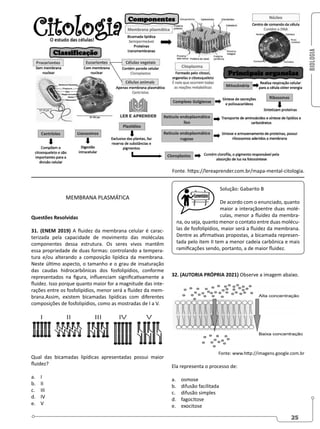 BIOLOGIA
25
MEMBRANA PLASMÁTICA
Questões Resolvidas
31. (ENEM 2019) A fluidez da membrana celular é carac-
terizada pela capacidade de movimento das moléculas
componentes dessa estrutura. Os seres vivos mantêm
essa propriedade de duas formas: controlando a tempera-
tura e/ou alterando a composição lipídica da membrana.
Neste último aspecto, o tamanho e o grau de insaturação
das caudas hidrocarbônicas dos fosfolipídios, conforme
representados na figura, influenciam significativamente a
fluidez. Isso porque quanto maior for a magnitude das inte-
rações entre os fosfolipídios, menor será a fluidez da mem-
brana.Assim, existem bicamadas lipídicas com diferentes
composições de fosfolipídios, como as mostradas de I a V.
Qual das bicamadas lipídicas apresentadas possui maior
fluidez?
a. I
b. II
c. III
d. IV
e. V
Solução: Gabarito B
De acordo com o enunciado, quanto
maior a interaçãoentre duas molé-
culas, menor a fluidez da membra-
na, ou seja, quanto menor o contato entre duas molécu-
las de fosfolipídios, maior será a fluidez da membrana.
Dentre as afirmativas propostas, a bicamada represen-
tada pelo item II tem a menor cadeia carbônica e mais
ramificações sendo, portanto, a de maior fluidez.
32. (AUTORIA PRÓPRIA 2021) Observe a imagem abaixo.
Fonte: www.http://imagens.google.com.br
Ela representa o processo de:
a. osmose
b. difusão facilitada
c. difusão simples
d. fagocitose
e. exocitose
Fonte. https://lereaprender.com.br/mapa-mental-citologia.
 