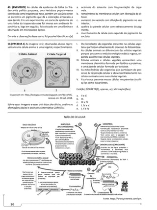 30
49. (ENEM2022) As células da epiderme da folha da Tra-
descantia pallida purpurea, uma herbácea popularmente
conhecida como trapoeraba-roxa, contém um vacúolo onde
se encontra um pigmento que dá a coloração arroxeada a
esse tecido. Em um experimento, um corte da epiderme de
uma folha da trapoeraba-roxa foi imerso em ambiente hi-
potônico e, logo em seguida, foi colocado em uma lâmina e
observado em microscópio óptico.
Durante a observação desse corte, foi possível identificar o(a)
a. acúmulo do solvente com fragmentação da orga-
nela.
b. rompimento da membrana celular com liberação do ci-
tosol.
c. aumento do vacúolo com diluição do pigmento no seu
interior.
d. quebra da parede celular com extravasamento do pig-
mento.
e. murchamento da célula com expulsão do pigmento do
vacúolo
50.(IFPE2019.1) As imagens 1 e 2, observadas abaixo, repre-
sentam uma célula animal e uma vegetal, respectivamente.
Disponível em: http://biologiaanimada.blogspot.com/2010/05/.
Acesso em: 30 set. 2018.
Sobre essas imagens e esses dois tipos de células, analise as
afirmações abaixo e assinale a alternativa CORRETA.
I. Os cloroplastos são organelas presentes nas células vege-
tais e participam ativamente do processo da fotossíntese.
II. As células animais se diferenciam das células vegetais
porque possuem o retículo endoplasmático rugoso, or-
ganela ausente nas células vegetais.
III. Células animais e células vegetais apresentam uma
membrana plasmática formada por lipídios e proteínas,
e uma parede celular formada por celulose.
IV. As mitocôndrias são organelas que participam do pro-
cesso de respiração celular e são encontradas tanto nas
células animais como nas células vegetais.
V. A carioteca presente nessas células nos permite classifi-
cá-las como eucariontes.
Está(ão) CORRETA(S), apenas, a(s) afirmação(ões)
a. II e V.
b. III.
c. III e IV.
d. I, IV e V.
e. I, II e IV
NÚCLEO CELULAR
Fonte. https://www.pinterest.com/pin.
 