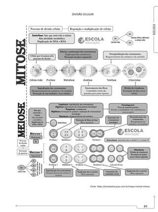 BIOLOGIA
31
DIVISÃO CELULAR
Fonte. https://escolaeducacao.com.br/mapa-mental-mitose.
 