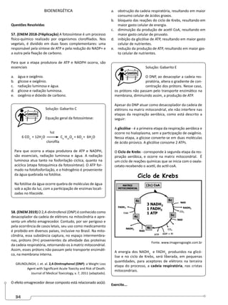 34
BIOENERGÉTICA
Questões Resolvidas
57. (ENEM 2018-2ªAplicação) A fotossíntese é um processo
físico-químico realizado por organismos clorofilados. Nos
vegetais, é dividido em duas fases complementares: uma
responsável pela síntese de ATP e pela redução do NADP+ e
a outra pela fixação de carbono.
Para que a etapa produtora de ATP e NADPH ocorra, são
essenciais
a. água e oxigênio.
b. glicose e oxigênio.
c. radiação luminosa e água.
d. glicose e radiação luminosa.
e. oxigênio e dióxido de carbono.
Solução: Gabarito C
Equação geral da fotossíntese:
luz
6 CO2
+ 12H2
O C6
H12
O6
+ 6O2
+ 6H2
O
clorofila
Para que ocorra a etapa produtora de ATP e NADPH,
são essenciais, radiação luminosa e água. A radiação
luminosa atua tanto na fosforilação cíclica, quanto na
acíclica (etapa fotoquímica da fotossíntese). O ATP for-
mado na fotofosforilação, e o hidrogênio é proveniente
da água quebrada na fotólise.
Na fotólise da água ocorre quebra de moléculas de água
sob a ação da luz, com a participação de enzimas locali-
zadas no tilacoide.
58. (ENEM 2019) O 2,4-dinitrofenol (DNP) é conhecido como
desacoplador da cadeia de elétrons na mitocôndria e apre-
senta um efeito emagrecedor. Contudo, por ser perigoso e
pela ocorrência de casos letais, seu uso como medicamento
é proibido em diversos países, inclusive no Brasil. Na mito-
côndria, essa substância captura, no espaço intermembra-
nas, prótons (H+) provenientes da atividade das proteínas
da cadeia respiratória, retornando-os à matriz mitocondrial.
Assim, esses prótons não passam pelo transporte enzimáti-
co, na membrana interna.
GRUNDLINGH, J. et. al. 2,4-Dinitrophenol (DNP): a Weight Loss
Agent with Significant Acute Toxicity and Risk of Death.
Journal of Medical Toxicology, v. 7, 2011 (adaptado).
O efeito emagrecedor desse composto está relacionado ao(à):
a. obstrução da cadeia respiratória, resultando em maior
consumo celular de ácidos graxos.
b. bloqueio das reações do ciclo de Krebs, resultando em
maior gasto celular de energia.
c. diminuição da produção de acetil CoA, resultando em
maior gasto celular de piruvato.
d. inibição da glicólise de ATP, resultando em maior gasto
celular de nutrientes.
e. redução da produção de ATP, resultando em maior gas-
to celular de nutrientes.
Solução: Gabarito E
O DNP, ao desacoplar a cadeia res-
piratória, altera o gradiente de con-
centração dos prótons. Nesse caso,
os prótons não passam pelo transporte enzimático na
membrana, diminuindo assim, a produção de ATP.
Apesar do DNP atuar como desacoplador da cadeia de
elétrons na matriz mitocondrial, ele não interfere nas
etapas da respiração aeróbica, como está descrito a
seguir:
A glicólise - é a primeira etapa da respiração aeróbica e
ocorre no hialoplasma, sem a participação de oxigênio.
Nessa etapa, a glicose converte-se em duas moléculas
de ácido pirúvico. A glicólise consome 2 ATPs.
O Ciclo de Krebs - corresponde à segunda etapa da res-
piração aeróbica, e ocorre na matriz mitocondrial. É
um ciclo de reações químicas que se inicia com o oxala-
cetato recebendo o acetil, do actil-coA.
Fonte. www.imagensgoogle.com.br
A energia dos NADH2
e FADH2,
produzidos na glicó-
lise e no ciclo de Krebs, será liberada, em pequenas
quantidades, para aceptores de elétrons na terceira
etapa do processo, a cadeia respiratória, nas cristas
mitocondriais.
Exercite...
 
