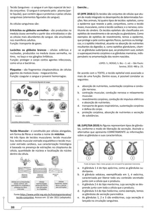 38
Tecido Sanguíneo - o sangue é um tipo especial de teci-
do conjuntivo. O sangue é composto pelo: plasma (par-
te liquida), que contém água e proteínas e pelas células
sanguíneas (elementos figurados do sangue).
As células sanguíneas são:
Eritrócitos ou glóbulos vermelhos - são produzidas na
medula óssea vermelha a partir dos eritroblastos e são
as células mais abundantes do sangue. são anucleadas
nos mamíferos adultos.
Função: transporte de gases.
Lucócitos ou glóbulos brancos - células esféricas e
nucleadas, produzidos na medula óssea vermelha, no
timo, no baço e nos gânglios linfáticos.
Função: proteger o corpo contra agentes infecciosos,
como vírus e bactérias.
Plaquetas - são fragmentos citoplasmáticos de células
gigantes da medula óssea - megacariócitos.
Função: coagular o sangue e prevenir hemorragias.
Tecido Muscular - é constituído por células alongadas,
em forma de fibras e recebe o nome de miócitos.
Há três tipos de tecidos musculares: tecido muscular
liso, tecido muscular estriado esquelético e tecido mus-
cular estriado cardíaco, sua caracterização histológica
é baseada na presença de estriações no citoplasma da
célula, quantidade de núcleos e localização do núcleo
dentro da célula.
Fonte:https://www.unifal-mg.edu.br/histologiainterativa/
tecido-conjuntivo. Acesso em: 22 abr. 2021 (adaptado).
Exercite...
67.(IFPE 2018.1) Os tecidos são conjuntos de células que atu-
am de modo integrado no desempenho de determinadas fun-
ções. Nos animais, há quatro tipos de tecidos: epiteliais, como
a epiderme que reveste a pele; conjuntivos, como o tecido
ósseo; musculares, como o tecido cardíaco; e o nervoso, cons-
tituinte do cérebro. Os tecidos epiteliais são classificados em
epitélios de revestimento e de secreção ou glandulares. Como
exemplos de epitélios de revestimento, temos a epiderme,
que protege a pele contra agentes físicos, químicos ou biológi-
cos; e o epitélio intestinal, atuante na absorção de nutrientes
resultantes da digestão; e, como epitélios glandulares, citam-
-se: as glândulas sudoríparas que, ao produzirem suor, evitam
o superaquecimento corpóreo e as glândulas mamárias, indis-
pensáveis na amamentação dos recém-nascidos.
LOPES. S.; ROSSO, S. Bio – 1. ed. – São Paulo:
Saraiva, 2010. 480 p. 23.
De acordo com o TEXTO, o tecido epitelial está associado a
mais de uma função. Dentre essas, é possível constatar as
seguintes:
a. absorção de nutrientes, sustentação corpórea e condu-
ção nervosa.
b. contração muscular, condução nervosa e relaxamento
muscular.
c. revestimento corpóreo, condução de impulsos elétricos
e absorção de nutrientes.
d. transporte de gases respiratórios, sustentação corpórea
e defesa do corpo.
e. proteção corpórea, absorção de nutrientes e secreção
de substâncias.
68. (UPE/SSA 2019) As figuras representam tipos de glându-
las, conforme o modo de liberação da secreção. Assinale a
alternativa que apresenta CORRETAMENTE as informações
sobre as glândulas e suas características.
a. A glândula 1 é do tipo apócrina, como as glândulas su-
doríparas.
b. A glândula sebácea, exemplificada em 1, é exócrina,
caracterizada por liberar todo seu conteúdo secretado
junto com a célula que o produziu.
c. A glândula 2 é do tipo merócrina, cuja secreção se des-
prende junto com toda a célula que a produziu.
d. A glândula 3 é do tipo holócrina; como exemplo, temos
as glândulas de secreção pancreática.
e. As glândulas 1, 2 e 3 são endócrinas, cuja secreção é
lançada na circulação sanguínea.
 