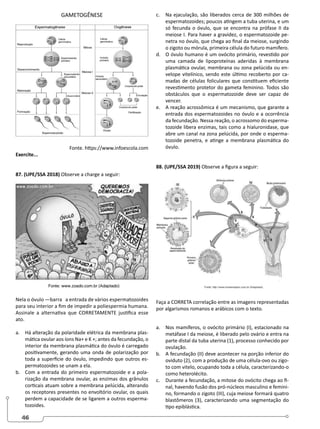 46
GAMETOGÊNESE
Fonte. https://www.infoescola.com
Exercite...
87. (UPE/SSA 2018) Observe a charge a seguir:
Nela o óvulo ―barra‖ a entrada de vários espermatozoides
para seu interior a fim de impedir a poliespermia humana.
Assinale a alternativa que CORRETAMENTE justifica esse
ato.
a. Há alteração da polaridade elétrica da membrana plas-
mática ovular aos íons Na+ e K +; antes da fecundação, o
interior da membrana plasmática do óvulo é carregado
positivamente, gerando uma onda de polarização por
toda a superfície do óvulo, impedindo que outros es-
permatozoides se unam a ela.
b. Com a entrada do primeiro espermatozoide e a pola-
rização da membrana ovular, as enzimas dos grânulos
corticais atuam sobre a membrana pelúcida, alterando
os receptores presentes no envoltório ovular, os quais
perdem a capacidade de se ligarem a outros esperma-
tozoides.
c. Na ejaculação, são liberados cerca de 300 milhões de
espermatozoides; poucos atingem a tuba uterina, e um
só fecunda o óvulo, que se encontra na prófase II da
meiose I. Para haver a gravidez, o espermatozoide pe-
netra no óvulo, que chega ao final da meiose, surgindo
o zigoto ou mórula, primeira célula do futuro mamífero.
d. O óvulo humano é um ovócito primário, revestido por
uma camada de lipoproteínas aderidas à membrana
plasmática ovular, membrana ou zona pelúcida ou en-
velope vitelínico, sendo este último recoberto por ca-
madas de células foliculares que constituem eficiente
revestimento protetor do gameta feminino. Todos são
obstáculos que o espermatozoide deve ser capaz de
vencer.
e. A reação acrossômica é um mecanismo, que garante a
entrada dos espermatozoides no óvulo e a ocorrência
da fecundação. Nessa reação, o acrossomo do esperma-
tozoide libera enzimas, tais como a hialuronidase, que
abre um canal na zona pelúcida, por onde o esperma-
tozoide penetra, e atinge a membrana plasmática do
óvulo.
88. (UPE/SSA 2019) Observe a figura a seguir:
Faça a CORRETA correlação entre as imagens representadas
por algarismos romanos e arábicos com o texto.
a. Nos mamíferos, o ovócito primário (I), estacionado na
metáfase I da meiose, é liberado pelo ovário e entra na
parte distal da tuba uterina (1), processo conhecido por
ovulação.
b. A fecundação (II) deve acontecer na porção inferior do
oviduto (2), com a produção de uma célula-ovo ou zigo-
to com vitelo, ocupando toda a célula, caracterizando-o
como heterolécito.
c. Durante a fecundação, a mitose do ovócito chega ao fi-
nal, havendo fusão dos pró-núcleos masculino e femini-
no, formando o zigoto (III), cuja meiose formará quatro
blastômeros (3), caracterizando uma segmentação do
tipo epiblástica.
 