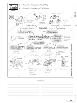 BIOLOGIA
61
1. Os Protozoários. https://youtu.be/BUuDvXITlAg
2. Os Protozoários. https://youtu.be/d-9pFKnMWew
________________________________________________
________________________________________________
________________________________________________
________________________________________________
________________________________________________
________________________________________________
________________________________________________
________________________________________________
________________________________________________
________________________________________________
________________________________________________
________________________________________________
________________________________________________
________________________________________________
________________________________________________
________________________________________________
________________________________________________
________________________________________________
ANOTAÇÕES
 
