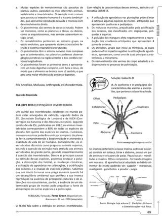 BIOLOGIA
65
a. Muitas espécies de nematelmintos são parasitas de
plantas; outras, parasitam os mais diferentes animais,
vertebrados e invertebrados. O exemplo mais comum
que parasita o intestino humano é o Ascaris lumbricoi-
des, que apresenta reprodução sexuada e monoica com
desenvolvimento direto.
b. Os platelmintos são vermes de corpo achatado. Podem
ser monoicos, como as planárias e tênias, ou dioicos,
como os esquistossomos, mas sempre apresentam es-
tágio larval.
c. Os nematelmintos pertencem ao primeiro grupo, na
escala evolutiva, que apresenta sistema circulatório fe-
chado e sistema respiratório estruturado.
d. Os platelmintos têm o sistema nervoso mais complexo
que os celenterados; nas planárias podemos observar
gânglios cerebrais na região anterior e dois cordões ner-
vosos longitudinais.
e. Os platelmintos foram os primeiros seres a apresenta-
rem um tubo digestivo completo, com boca e ânus, de
modo que o alimento se desloca num só sentido, o que
gera uma maior eficiência do processo digestivo.
Filo Annelida, Mollusca, Arthropoda e Echinodermata.
Questão Resolvida
138. (IFPE 2019.1) EXTINÇÃO DE INVERTEBRADOS
Um quinto dos invertebrados existentes no mundo po-
dem estar ameaçados de extinção, segundo dados da
ZSL (Sociedade Zoológica de Londres) e da IUCN (Con-
servação da Natureza e dos Recursos Naturais). Segundo
conclusões da ZSL, publicadas em 2012, os animais inver-
tebrados correspondem a 80% de todas as espécies do
planeta. Um quinto das espécies de insetos, crustáceos,
moluscos e outros poderão sumir por completo do plane-
ta Terra, comprometendo a biodiversidade e alterando a
qualidade de vida do ser humano. Culturalmente, os in-
vertebrados são vistos como pragas ou animais nojentos,
estando a questão da extinção mais atrelada aos animais
vertebrados de grande porte, gerando desconhecimento
à questão dos invertebrados. Dentre as principais causas
da extinção dessas espécies, podemos destacar a polui-
ção, a diminuição dos habitat, as mudanças climáticas,
a utilização do agrotóxico nas plantações, a acidificação
dos oceanos e a invasão de espécies exóticas. Sabemos
que um inseto torna-se uma praga somente quando há
um desequilíbrio ambiental que prolifera a sua intensa
reprodução na ausência de predadores naturais e de al-
terações nos ecossistemas, porém, a ausência de um de-
terminado grupo de insetos pode prejudicar a fonte de
alimentação de outras espécies e a polinização.
REBOUÇAS, Fernando. Pense Green. Disponível em:.
Acesso em: 03 out. 2018 (adaptado).
O TEXTO fala sobre a extinção de animais invertebrados.
Com relação às características desses animais, assinale a al-
ternativa CORRETA.
a. A utilização de agrotóxicos nas plantações poderá levar
à extinção algumas espécies de insetos˗ artrópodes que
apresentam quelíceras e pedipalpos.
b. Os moluscos marinhos, prejudicados pela acidificação
dos oceanos, são classificados em: oligoquetas, poli-
quetas e aquetas.
c. A poluição dos mangues afeta negativamente a repro-
dução dos crustáceos˗artrópodes que apresentam 4
pares de antenas.
d. Os anelídeos, grupo que inclui as minhocas, as quais
podem sofrer impacto negativo na utilização de agrotó-
xicos, apresentam, como uma de suas principais carac-
terísticas, a metameria.
e. Os nematelmintos são vermes de corpo achatado e in-
dispensáveis no processo de polinização.
Solução: Gabarito D
A. As quelíceras e os pedipalpos são
características das aranhas e escorpi-
ões, que pertence a classe Arachnida.
Fonte.wwwgoogleimagens.com.br
Os insetos pertencem à classe Insecta. A divisão do cor-
po consiste em cabeça, tórax e abdome, possui um par
de antenas e três pares de patas. Peças bucais - mandí-
bulas e maxilas. Olhos compostos - formando imagens
em mosaico. O aparelho bucal adaptado ao hábito ali-
mentar do inseto podendo ser: sugador – mariposas;
mastigador - gafanhotos e picador - pulga.
Fonte. Biologia hoje volume 2. 6a
edição – Linhares
e Gewandsnajder – Ed. Ática.
 