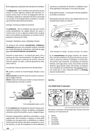 66
B. Os oligoquetas, poliquetas são exemplos de anelídeos.
Os Oligoquetas - são os anelídeos que possuem poucas
cerdas no corpo. Algumas espécies são marinhas, en-
quanto outras vivem na terra. Os oligoquetas são her-
mafroditas, podendo se reproduzir de forma assexuada
ou sexuada. A fecundação destes anelídeos é cruzada,
apresentando desenvolvimento direto.
Exemplo: minhoca (Lumbricus terrestris)
Os poliquetas - são os anelídeos que possuem muitas
cerdas (parapódios) nas regiões laterais do corpo, a
maioria vive no mar e algumas espécies têm as águas
doces como habitat. Os poliquetas, ao contrário dos oli-
goquetas, não possuem clitelo.
Exemplos: Phyllodoce rosea e Phyllodoce lineata
Os moluscos são animais invertebrados, triblásticos,
celomados (possuem uma cavidade corporal, revestida
por tecido derivado da mesoderme, chamada de celo-
ma), com simetria bilateral e protostômios.
Possuem o corpo mole e, na maioria das vezes, com a
presença de uma concha protetora. Em algumas espé-
cies, não se observa a presença da concha, como em
lesmas e polvos. Em lulas, a concha apresenta-se redu-
zida e interna.
O corpo dos moluscos apresenta uma divisão básica:
Pé: auxilia o animal na movimentação, fixação e esca-
vação.
Massa visceral: porção do corpo do molusco na qual es-
tão os órgãos internos.
Manto: dobra de tecido que recobre a massa visceral e
é responsável por secretar a concha.
Fonte.wwwgoogleimagens.com.br
C. Os crustáceos são artrópodes da classe Crustacea, prin-
cipalmente aquático e incluem as lagostas, caranguejos,
camarões, tatuzinho-de-jardim, cracas, e pulgas de água.
Possuem exoesqueleto, apêndices articulados e corpo
segmentado. Nos crustáceos, a cabeça e o tórax estão
fundidos em uma peça única, o cefalotórax; na cabeça,
há dois pares de antenas, dois olhos compostos, e, ao re-
dor da boca, um par de mandíbulas e outros apêndices
acessórios na obtenção do alimento. O abdômen apre-
senta apêndices articulados e cinco pares de patas.
Respiração branquial e a excreção é através de glându-
las verdes ou antenais.
Reprodução sexuada, dioicos, fecundação externa e de-
senvolvimento direto ou indireto.
Fonte. Biologia 2.2a
edição – Armênio e Ernesto – Ed. Harbra.
E. Os nematelmintos (do grego nematos, fio; helmin-
thes, verme) constituem um grupo de vermes que pos-
suem o corpo liso, cilíndrico e alongado. A maioria des-
ses animais vive livremente. Encontrados em diversos
habitais, como água doce, mares, solo úmido, areia dos
desertos, água parada, praias. No entanto, as espécies
mais estudadas de nematelmintos são parasitas huma-
nos sendo que o mais conhecido deles é a lombriga
(Ascaris lumbricoides)
Exercite...
139. (ENEM 2016-3ª aplicação)
Na tirinha, o processo mencionado pelo molusco está rela-
cionado a um mecanismo de
a. defesa
b. excreção
c. circulação
d. locomoção
e. reprodução.
 