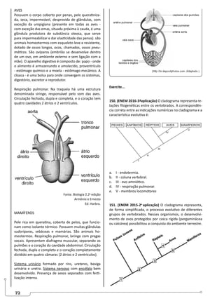 72
AVES
Possuem o corpo coberto por penas, pele queratiniza-
da, seca, impermeável, desprovida de glândulas, com
exceção da uropigiana (presente em todas as aves -
com exceção das emas, situada próxima à cauda, é uma
glândula produtora de substância oleosa, que serve
para impermeabilizar e dar elasticidade das penas). são
animais homeotermos com esqueleto leve e resistente,
dotado de ossos longos, ocos, chamados, ossos pneu-
máticos. São ovíparos (embrião se desenvolve dentro
de um ovo, em ambiente externo e sem ligação com a
mãe). O aparelho digestivo é composto de: papo - onde
o alimento é armazenando e amolecido, proventrículo
- estômago químico e a moela - estômago mecânico. A
cloaca - é uma bolsa para onde convergem os sistemas,
digestório, excretor e reprodutor.
Respiração pulmonar. Na traqueia há uma estrutura
denominada siringe, responsável pelo som das aves.
Circulação fechada, dupla e completa, e o coração tem
quatro cavidades 2 átrios e 2 ventrículos.
Fonte. Biologia 2.2a
edição
Armênio e Ernesto
Ed. Harbra.
MAMÍFEROS
Pele rica em queratina, coberta de pelos, que funcio-
nam como isolante térmico. Possuem muitas glândulas
sudoríparas, sebáceas e mamárias. São animais ho-
meotermos. Respiração pulmonar, laringe com pregas
vocais. Apresentam diafragma muscular, separando os
pulmões e o coração da cavidade abdominal. Circulação
fechada, dupla e completa e o coração completamente
dividido em quatro câmaras (2 átrios e 2 ventrículos).
Sistema urinário formado por rins, ureteres, bexiga
urinária e uretra. Sistema nervoso com encéfalo bem
desenvolvido. Presença de sexos separados com ferti-
lização interna.
Exercite...
150. (ENEM 2016-3ªaplicação) O cladograma representa re-
lações filogenéticas entre os vertebrados. A correspondên-
cia correta entre as indicações numéricas no cladograma e a
característica evolutiva é:
a. I - endotermia.
b. II - coluna vertebral.
c. III - ovo amniótico.
d. IV - respiração pulmonar.
e. V - membros locomotores
151. (ENEM 2015-2a
aplicação) O cladograma representa,
de forma simplificada, o processo evolutivo de diferentes
grupos de vertebrados. Nesses organismos, o desenvolvi-
mento de ovos protegidos por casca rígida (pergaminácea
ou calcárea) possibilitou a conquista do ambiente terrestre.
 