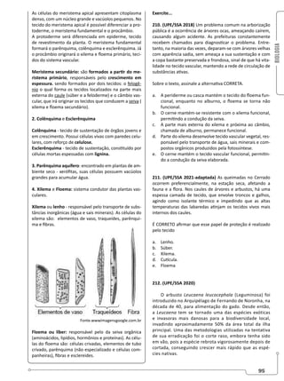 BIOLOGIA
95
As células do meristema apical apresentam citoplasma
denso, com um núcleo grande e vacúolos pequenos. No
tecido do meristema apical é possível diferenciar a pro-
toderme, o meristema fundamental e o procâmbio.
A protoderme será diferenciada em epiderme, tecido
de revestimento da planta. O meristema fundamental
formará o parênquima, colênquima e esclerênquima. Já
o procâmbio originará o xilema e floema primário, teci-
dos do sistema vascular.
Meristema secundário: são formados a partir do me-
ristema primário, responsáveis pelo crescimento em
espessura. sendo formados por dois tecidos: o felogê-
nio o qual forma os tecidos localizados na parte mais
externa do caule (súber e a feloderme) e o câmbio vas-
cular, que irá originar os tecidos que conduzem a seiva (
xilema e floema secundário).
2. Colênquima e Esclerênquima
Colênquima - tecido de sustentação de órgãos jovens e
em crescimento. Possui células vivas com paredes celu-
lares, com reforço de celulose.
Esclerênquima - tecido de sustentação, constituído por
células mortas espessadas com lignina.
3. Parênquima aquífero: encontrado em plantas de am-
biente seco - xerófitas, suas células possuem vacúolos
grandes para acumular água.
4. Xilema e Floema: sistema condutor das plantas vas-
culares.
Xilema ou lenho - responsável pelo transporte de subs-
tâncias inorgânicas (água e sais minerais). As células do
xilema são: elementos de vaso, traqueídes, parênqui-
ma e fibras.
Fonte.wwwimagensgoogle.com.br
Floema ou líber: responsável pelo da seiva orgânica
(aminoácidos, lipídios, hormônios e proteínas). As célu-
las do floema são: células crivadas, elementos de tubo
crivado, parênquima (não especializado e células com-
panheiras), fibras e esclereides.
Exercite...
210. (UPE/SSA 2018) Um problema comum na arborização
pública é a ocorrência de árvores ocas, ameaçando caírem,
causando algum acidente. As prefeituras constantemente
recebem chamados para diagnosticar o problema. Entre-
tanto, na maioria das vezes, deparam-se com árvores velhas
com aparência sadia, sem ameaça a sua sustentação e com
a copa bastante preservada e frondosa, sinal de que há vita-
lidade no tecido vascular, mantendo a rede de circulação de
substâncias ativas.
Sobre o texto, assinale a alternativa CORRETA.
a. A periderme ou casca mantém o tecido do floema fun-
cional, enquanto no alburno, o floema se torna não
funcional.
b. O cerne mantém-se resistente com o xilema funcional,
permitindo a condução da seiva.
c. A parte mais externa do xilema e próxima ao câmbio,
chamada de alburno, permanece funcional.
d. Parte do xilema desenvolve tecido vascular vegetal, res-
ponsável pelo transporte de água, sais minerais e com-
postos orgânicos produzidos pela fotossíntese.
e. O cerne mantém o tecido vascular funcional, permitin-
do a condução da seiva elaborada.
211. (UPE/SSA 2021-adaptada) As queimadas no Cerrado
ocorrem preferencialmente, na estação seca, afetando a
fauna e a flora. Nos caules de árvores e arbustos, há uma
espessa camada de tecido, que envolve troncos e galhos,
agindo como isolante térmico e impedindo que as altas
temperaturas das labaredas atinjam os tecidos vivos mais
internos dos caules.
É CORRETO afirmar que esse papel de proteção é realizado
pelo tecido
a. Lenho.
b. Súber.
c. Xilema.
d. Cutícula.
e. Floema
212. (UPE/SSA 2020)
O arbusto Leucaena leucocephala (Leguminosa) foi
introduzido no Arquipélago de Fernando de Noronha, na
década de 40, para alimentação do gado. Desde então,
a Leucaena tem se tornado uma das espécies exóticas
e invasoras mais danosas para a biodiversidade local,
invadindo aproximadamente 50% da área total da ilha
principal. Uma das metodologias utilizadas na tentativa
de sua erradicação foi o corte raso, embora tenha sido
em vão, pois a espécie rebrota vigorosamente depois de
cortada, conseguindo crescer mais rápido que as espé-
cies nativas.
 