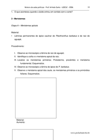10
                 Roteiro de aulas práticas – Prof Arlindo Costa – UDESC - 2006
______________________________________________________________________________
1. O que aconteceu quando o ácido entrou em contato com o corte?


3 - Meristemas


Etapa A – Meristemas apicais


Material:
•   Lâminas permanentes de ápice caulinar de Plecthranthus barbatus e de raiz de
    aguapé.


Procedimento:


    I.   Observe ao microscópio a lâmina de raiz de aguapé;
    II. Identifique a coifa e o meristema apical da raiz;
    III. Localize os meristemas primários: Protoderme, procâmbio e meristema
            fundamental. Esquematize.
    IV. Observe ao microscópio a lâmina de ápice de P. barbatus;
    V. Observe o meristema apical dos caule, os meristemas primários e os primórdios
            foliares. Esquematize.




         Material:
         Aumento:




                                                                          www.profarlindo.bio.br
 