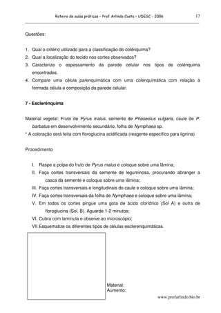 17
                Roteiro de aulas práticas – Prof Arlindo Costa – UDESC - 2006
______________________________________________________________________________

Questões:


1. Qual o critério utilizado para a classificação do colênquima?
2. Qual a localização do tecido nos cortes observados?
3. Caracterize o espessamento da parede celular nos tipos de colênquima
   encontrados.
4. Compare uma célula parenquimática com uma colenquimática com relação à
   formada célula e composição da parede celular.


7 - Esclerênquima


Material vegetal: Fruto de Pyrus malus, semente de Phaseolus vulgaris, caule de P.
   barbatus em desenvolvimento secundário, folha de Nymphaea sp.
* A coloração será feita com floroglucina acidificada (reagente específico para lignina)


Procedimento


   I.   Raspe a polpa do fruto de Pyrus malus e coloque sobre uma lâmina;
   II. Faça cortes transversais da semente de leguminosa, procurando abranger a
           casca da semente e coloque sobre uma lâmina;
   III. Faça cortes transversais e longitudinais do caule e coloque sobre uma lâmina;
   IV. Faça cortes transversais da folha de Nymphaea e coloque sobre uma lâmina;
   V. Em todos os cortes pingue uma gota de ácido clorídrico (Sol A) e outra de
           floroglucina (Sol. B). Aguarde 1-2 minutos;
   VI. Cubra com lamínula e observe ao microscópio;
   VII. Esquematize os diferentes tipos de células esclerenquimáticas.




                                             Material:
                                             Aumento:
                                                                         www.profarlindo.bio.br
 
