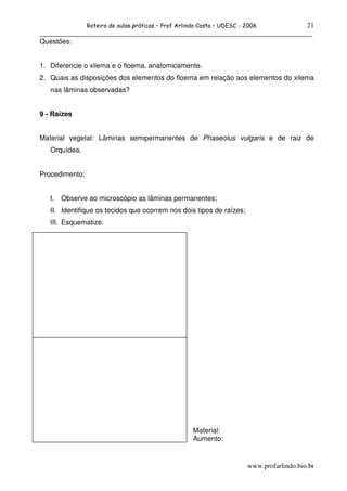 21
                Roteiro de aulas práticas – Prof Arlindo Costa – UDESC - 2006
______________________________________________________________________________
Questões:


1. Diferencie o xilema e o floema, anatomicamente.
2. Quais as disposições dos elementos do floema em relação aos elementos do xilema
   nas lâminas observadas?


9 - Raízes


Material vegetal: Lâminas semipermanentes de Phaseolus vulgaris e de raiz de
   Orquídea.


Procedimento:


   I.   Observe ao microscópio as lâminas permanentes;
   II. Identifique os tecidos que ocorrem nos dois tipos de raízes;
   III. Esquematize.




                                                      Material:
                                                      Aumento:


                                                                         www.profarlindo.bio.br
 
