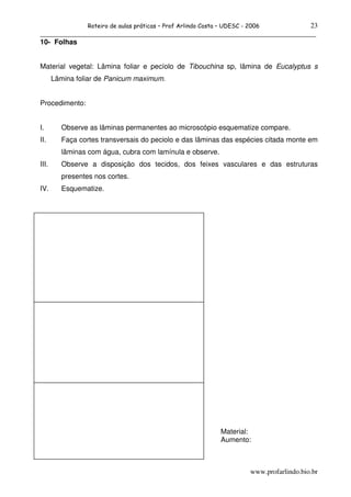 23
                  Roteiro de aulas práticas – Prof Arlindo Costa – UDESC - 2006
______________________________________________________________________________
10- Folhas


Material vegetal: Lâmina foliar e pecíolo de Tibouchina sp, lâmina de Eucalyptus s
       Lâmina foliar de Panicum maximum.


Procedimento:


I.        Observe as lâminas permanentes ao microscópio esquematize compare.
II.       Faça cortes transversais do peciolo e das lâminas das espécies citada monte em
          lâminas com água, cubra com lamínula e observe.
III.      Observe a disposição dos tecidos, dos feixes vasculares e das estruturas
          presentes nos cortes.
IV.       Esquematize.




                                                                 Material:
                                                                 Aumento:



                                                                           www.profarlindo.bio.br
 