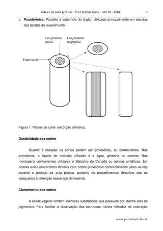 Roteiro de aulas práticas – Prof Arlindo Costa – UDESC - 2006     4
______________________________________________________________________________
c. Paradérmico: Paralelo à superfície do órgão. Utilizado principalmente em estudos
   dos tecidos de revestimento.


                   Longitudinal     Longitudinal
                   radial           tangencial




  Transversal




Figura 1. Planos de corte em órgão cilíndrico.


Durabilidade dos cortes


      Quanto à duração os cortes podem ser provisórios, ou permanentes. Nos
provisórios, o liquido de inclusão utilizado é a água, glicerina ou corante. Nas
montagens permanentes utiliza-se o Bálsamo do Canadá ou resinas sintéticas. Em
nossas aulas utilizaremos lâminas com cortes provisórios confeccionados pelos alunos
durante o período da aula prática, portanto os procedimentos descritos são os
adequados à obtenção desse tipo de material.


Clareamento dos cortes


      A célula vegetal contém inúmeras substâncias que possuem cor, dentre elas os
pigmentos. Para facilitar a observação das estruturas, vários métodos de coloração


                                                                         www.profarlindo.bio.br
 