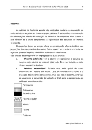 Roteiro de aulas práticas – Prof Arlindo Costa – UDESC - 2006 6
______________________________________________________________________________




Desenhos


      As práticas de Anatomia Vegetal são realizadas mediante a observação de
várias estruturas vegetais em diversos grupos, portanto é necessária a documentação
das observações através da confecção de desenhos. Os esquemas feitos durante a
aula refletem se o aluno compreendeu a organização das estruturas de maneira
consistente.
      Os desenhos devem ser simples e levar em consideração a forma do objeto e as
proporções dos componentes dos cortes. Outro aspecto importante é a inclusão de
legendas, para que se possa reconhecer as estruturas desenhadas.
Dois tipos de desenho podem ser empregados nas aulas práticas:
      a.         Desenho detalhado: Tem o objetivo de representar a estrutura da
           maneira mais próxima ao material observado. Deve ser incluído o maior
           número possível de detalhes.
      b.         Desenho      esquemático:      Fornece     uma    idéia   global   de   forma
           simplificada do   material em estudo. Leva em consideração a forma e a
           proporção dos diferentes componentes. Para este tipo de desenho, emprega-
           se usualmente a convenção de Metcalfe & Chalk para a representação de
           tecidos da seguinte maneira:

               Parênquima

               Colênquima
               Esclerênquima

               Felema ou súber

               Xilema

               Floema

               Epiderme



                                                                        www.profarlindo.bio.br
 