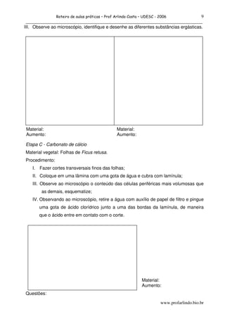 Roteiro de aulas práticas – Prof Arlindo Costa – UDESC - 2006         9
 ______________________________________________________________________________
III. Observe ao microscópio, identifique e desenhe as diferentes substâncias ergásticas.




 Material:                                        Material:
 Aumento:                                         Aumento:

Etapa C - Carbonato de cálcio
Material vegetal: Folhas de Ficus retusa.
Procedimento:
    I.   Fazer cortes transversais finos das folhas;
    II. Coloque em uma lâmina com uma gota de água e cubra com lamínula;
    III. Observe ao microscópio o conteúdo das células periféricas mais volumosas que
          as demais, esquematize;
    IV. Observando ao microscópio, retire a água com auxílio de papel de filtro e pingue
         uma gota de ácido clorídrico junto a uma das bordas da lamínula, de maneira
         que o ácido entre em contato com o corte.




                                                                Material:
                                                                Aumento:
Questões:

                                                                          www.profarlindo.bio.br
 