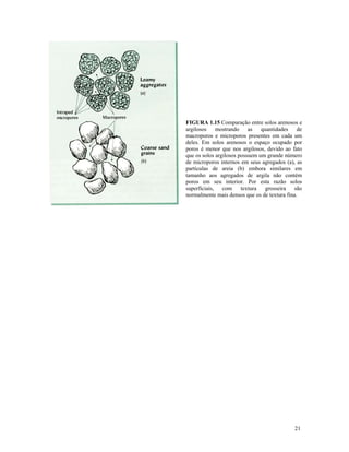 FIGURA 1.15 Comparação entre solos arenosos e
argilosos mostrando as quantidades de
macroporos e microporos presentes em cada um
deles. Em solos arenosos o espaço ocupado por
poros é menor que nos argilosos, devido ao fato
que os solos argilosos possuem um grande número
de microporos internos em seus agregados (a), as
partículas de areia (b) embora similares em
tamanho aos agregados de argila não contém
poros em seu interior. Por esta razão solos
superficiais,
com textura
grosseira
são
normalmente mais densos que os de textura fina.

21

 