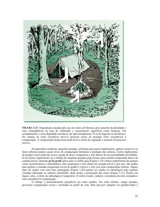 FIGURA 1.17. Degradação causada pelo uso em solos sob floresta, pelo aumento da densidade e
suas conseqüências na taxa de infiltração e escorrimento superficial (setas brancas). Em
acampamentos, a área degradada estende-se até aproximadamente 10 m da fogueira ou da barraca.
No manejo de áreas recreativas deve-se procurar meios de proteger solos susceptíveis à
compactação. A compactação destas áreas pode levar à morte da vegetação e aumento do processo
erosivo.
Na agricultura moderna, máquinas pesadas, utilizadas para puxar implementos, aplicar corretivos ou
fazer colheitas podem causar níveis de compactação limitantes à produção das culturas. Certos implementos
de preparo como arado de aiveca e grade de disco, compactam o solo abaixo da sua profundidade de trabalho.
O uso destes implementos ou o tráfego de máquinas pesadas pode formar uma camada compactada abaixo da
camada arável, chamado pé de grade (plow pans or traffic pan) (Figura 1.19). Outros implementos de preparo
como escarificadores e subsoladores, não compactam o solo abaixo da camada arável e, por isso, são usados
para quebrar a camada compactada (ou pé de grade) e remove o solo com uma compactação mínima. Alguns
tipos de arados com uma base pontiaguda (Figura 1.20) podem ser usados na subsolagem para quebrar
camadas adensadas no subsolo, permitindo, deste modo, a penetração das raízes (Figura 1.21). Porém, em
alguns solos, o efeito da subsolagem é temporário. O cultivo tende a reduzir a resistência do solo, tornando-o
mais susceptível à compactação.
O tráfego é particularmente prejudicial em solos úmidos. Em solos úmidos, cargas pesadas,
provocam compactação severa e profunda no perfil do solo. Para prevenir reduções na produtividade e

25

 