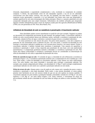 triturando, desprendendo e suspendendo completamente o solo, resultando no rompimento da condição
compacta. À direita, são apresentadas zonas de solo deturpadas segundo o uso de (a) um subsolador
convencional com duas hastes verticais, mas sem pás, (b) equipada com duas hastes e acoplada a pás
suspensas (como apresentado à esquerda), e (c) um subsolador com hastes mais rasas que desprendem a
camada superficial do solo antes da passagem das linhas principais. Observe o aumento quantitativo de solo
compactado deturpado pelo mais amplo tratamento. Subsoladores são também utilizados para desprender
algumas camadas subsuperficiais muito coesas de Argilosos usados para fins agrícolas [Modificado de McRae
(1999); uso com permissão de CRC Press, Boca Raton, Fla.]

Influência da Densidade do solo na resistência à penetração e Crescimento radicular
Altas densidades podem ocorrer naturalmente no perfil do solo (por exemplo, fragipan) ou podem
ser decorrentes da compactação proveniente da ação humana. De qualquer modo, o crescimento radicular é
inibido em solos excessivamente densos por diferentes razões, incluindo a resistência à penetração do solo,
má aeração, redução do fluxo de água e nutrientes e acúmulo de gases tóxicos e exsudados radiculares.
As raízes penetram no solo através dos poros. Em poros muito pequenos, a raiz deve empurrar as
partículas de solo aumentando assim o diâmetro do poro. Até certo ponto, o aumento da densidade do solo
restringe o crescimento radicular à medida que a raiz encontra poros menores e em menor número. Porém, o
crescimento radicular é também limitado pela resistência à penetração. Uma maneira de quantificar a
resistência à penetração é medir a força requerida para penetração de uma haste com cone padronizado
(penetrômetro). A compactação geralmente aumenta a densidade e a resistência à penetração do solo. Pelo
menos dois fatores (relacionados à resistência à penetração) devem ser considerados na determinação do
efeito de densidade do solo sobre a capacidade de penetração das raízes.
Efeito do conteúdo de água no solo - O conteúdo de água e a densidade do solo influenciam a resistência à
penetração (Figura 1.23). A resistência à penetração aumenta com a compactação do solo à medida que o solo
seca. Deste modo, o efeito da densidade no crescimento radicular é mais intenso em solos relativamente
secos. Em solos úmidos, uma maior densidade é necessária para restringir a penetração radicular. Por
exemplo, uma camada compactada pelo tráfego, com densidade de 1,6 Mg m-3 pode restringir completamente
a penetração radicular em solo muito seco e permitir a penetração radicular em solo úmido.
Efeito da textura do solo - Quanto maior o teor de argila no solo, menor será o tamanho dos poros e maior a
resistência a penetração a uma dada densidade. Deste modo, a uma mesma densidade, as raízes podem
penetrar mais facilmente em um solo arenoso úmido do que em um solo argiloso na mesma condição. O
crescimento radicular em solos úmidos é geralmente limitado a densidades variando de 1,45 Mg m-3 em solos
argilosos a 1,85 Mg m-3 em areia franca (Figura 1.14). Neste contexto, o crescimento de raízes foi
provavelmente inibido devido a densidade do solo nas linhas de tráfego em ambos os solos ilustrados (Tabela
1.3).

28

 