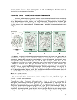 exceção de certos Oxisols e alguns Entisols jovens. Em cada nível hierárquico, diferentes fatores são
responsáveis pela agregação das sub unidades.

Fatores que Afetam a Formação e Estabilidade dos Agregados
Processos biológicos e físico-químicos (abióticos) estão envolvidos na formação dos agregados do
solo. Os processos físico-químicos tendem a ser mais importantes nos agregados de menor tamanho, enquanto
que os processos biológicos nos maiores. Além disso, os processos físico-químicos de agregação estão
principalmente associados com a fração argila, possuindo assim maior importância em solos de textura fina.
Em solos arenosos, com pouco conteúdo de argila, a agregação é dependente, principalmente dos processos
biológicos.

(a)

(b)

(c)

(d)

FIGURA 1.28 Agregados de maior tamanho são normalmente compostos de aglomerações de agregados de
menor tamanho. A ilustração mostra quatro níveis hierárquicos de agregação no solo. Diferentes fatores
responsáveis pela agregação em cada nível são indicados. (a) Um macroagregado composto por muitos
microagregados unidos principalmente por uma rede de hifas de fungos e raízes finas. (b) Um
microagregado, consistindo principalmente de partículas de areia fina e pequenos aglomerados de silte, argila
e substâncias orgânicas unidas por pêlos radiculares, hifas de fungos e gomas produzidas por
microrganismos. (c) Um submicroagregados consistindo de partículas finas de silte cobertas com matéria
orgânica e pequenas partes de plantas e microorganismos, cobertas com arranjamentos ainda menores de
argila, húmus, e óxidos de Fe ou Al. (d) Aglomerados de partículas de argila interagindo com óxidos de Fe
ou Al e polímeros orgânicos na menor escala. Estes aglomerados organo-argílicos são ligados às superfícies
das partículas de húmus e partículas minerais de menor tamanho.

Processos físico-químicos
Os dois mais importantes processos físico-químicos são (1) coesão entre partículas de argila e (2)
expansão e contração de solos argilosos.
Floculação das argilas e função dos cátions adsorvidos - Exceto em solos muito arenosos, que são
praticamente isentos de argila, o processo de agregação se inicia com a floculação das partículas de argila em
agregados microscópicos (Figura 1.29). A floculação pode ser explicada pelo fato da maior parte das
partículas de argila possuírem superfícies carregadas com cargas negativas que normalmente atraem um
grande grupo de cátions da solução do solo. Se duas partículas de argila aproximarem-se o suficiente, cátions
comprimidos na camada entre elas atrairão as cargas negativas das duas partículas, servindo assim como uma
ponte, que mantêm as partículas unidas. Este processo é repetido até que um pequeno conjunto de partículas

37

 