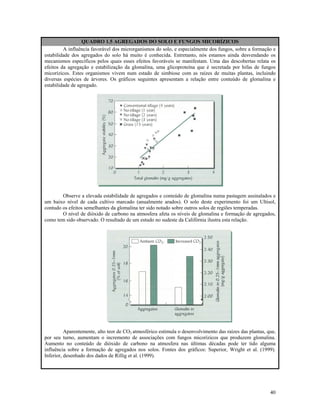 QUADRO 1.5 AGREGADOS DO SOLO E FUNGOS MICORÍZICOS
A influência favorável dos microrganismos do solo, e especialmente dos fungos, sobre a formação e
estabilidade dos agregados do solo há muito é conhecida. Entretanto, nós estamos ainda desvendando os
mecanismos específicos pelos quais esses efeitos favoráveis se manifestam. Uma das descobertas relata os
efeitos da agregação e estabilização da glomalina, uma glicoproteína que é secretada por hifas de fungos
micorízicos. Estes organismos vivem num estado de simbiose com as raízes de muitas plantas, incluindo
diversas espécies de árvores. Os gráficos seguintes apresentam a relação entre conteúdo de glomalina e
estabilidade de agregado.

Observe a elevada estabilidade de agregados e conteúdo de glomalina numa pastagem assinalados e
um baixo nível de cada cultivo marcado (anualmente arados). O solo deste experimento foi um Ultisol,
contudo os efeitos semelhantes da glomalina ter sido notado sobre outros solos de regiões temperadas.
O nível de dióxido de carbono na atmosfera afeta os níveis de glomalina e formação de agregados,
como tem sido observado. O resultado de um estudo no sudeste da Califórnia ilustra esta relação.

Aparentemente, alto teor de CO2 atmosférico estimula o desenvolvimento das raízes das plantas, que,
por seu turno, aumentam o incremento de associações com fungos micorízicos que produzem glomalina.
Aumento no conteúdo de dióxido de carbono na atmosfera nas últimas décadas pode ter tido alguma
influência sobre a formação de agregados nos solos. Fontes dos gráficos: Superior, Wright et al. (1999).
Inferior, desenhado dos dados de Rillig et al. (1999).

40

 