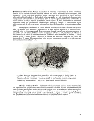 Influência do cultivo do solo. Avanços na tecnologia de herbicidas e equipamentos de plantio permitem o
controle de ervas daninhas e estabelecimento das plântulas sem cultivo. No entanto, muitos agricultores ainda
consideram o preparo como sendo uma técnica normal e necessária para o uso agrícola do solo. O cultivo do
solo pode ter efeitos favoráveis ou desfavoráveis sobre a agregação. Se o solo não está muito úmido ou muito
seco quando o cultivo é realizado, o efeito a curto prazo do preparo é geralmente favorável. Implementos de
cultivo quebram os torrões maiores, incorporando matéria orgânica ao solo, eliminando ervas daninhas e
geralmente criando uma condição mais favorável para a germinação (Quadro 1.6). Imediatamente após o
cultivo, a superfície do solo torna-se mais solta (sua força de coesão é reduzida) e há aumento da porosidade
total.
Em longo prazo, as operações de cultivo possuem efeitos negativos sobre a estrutura superficial do
solo. Em primeiro lugar, a mistura e movimentação do solo, aceleram a oxidação da matéria orgânica,
reduzindo assim, os efeitos da agregação deste componente. Segundo, operações de cultivo, especialmente se
conduzidas com solo úmido, tendem a destruir os agregados estáveis do solo, resultando em redução da
macroporosidade e criação de camadas compactadas, deixando o solo com excesso de umidade. O cultivo
também expõe a matéria orgânica localizada no interior dos agregados, acelerando sua perda por
decomposição. A grande diferença estrutural entre um solo intensamente cultivado e um não cultivado
(pastagem) é mostrada na Figura 1.33.

FIGURA 1.33 Solo desestruturado (à esquerda) e solo bem granulado (à direita). Raízes de
plantas e especialmente húmus são fatores principais na granulação do solo. Deste modo,
gramíneas tendem a estimular o desenvolvimento de uma estrutura granular no horizonte
superficial (Cortesia do USDA - Serviço de Conservação de Recursos Naturais).
Influência dos óxidos de ferro e alumínio. Cientistas observaram que solos muitos intemperizados
dos trópicos tem uma agregação mais estável quando comparados com solos de climas temperados com níveis
maiores de matéria orgânica. O comportamento foi atribuído ao efeito de agregação dos sesquióxidos de ferro
e alumínio que são abundantes em muitos solos tropicais. Filmes de tais compostos revestem os agregados do
solo, prevenindo sua a rápida ruptura quando o solo é trabalhado. A Figura 1.34 ilustra a grande estabilidade
dos agregados desses solos comparada com a estabilidade de agregados de solos tropicais.

43

 