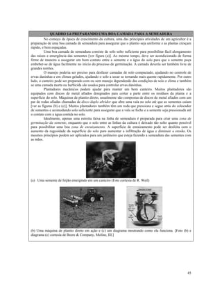 QUADRO 1.6 PREPARANDO UMA BOA CAMADA PARA A SEMEADURA
No começo da época de crescimento da cultura, uma das principais atividades de um agricultor é a
preparação de uma boa camada de semeadura para assegurar que o plantio seja uniforme e as plantas cresçam
rápido, e bem espaçadas.
Uma boa camada de semeadura consiste de solo solto suficiente para possibilitar fácil alongamento
das raízes e emergência das sementes [ver figura (a)]. Ao mesmo tempo, deve ser acondicionado de forma
firme de maneira a assegurar um bom contato entre a semente e a água do solo para que a semente poça
embeber-se de água facilmente no inicio do processo de germinação. A camada deveria ser também livre de
grandes torrões.
O manejo poderia ser preciso para desfazer camadas de solo compactado, ajudando no controle de
ervas daninhas e em climas gelados, ajudando o solo a secar se tornando mais quente rapidamente. Por outro
lado, o canteiro pode ser preparado com ou sem manejo dependendo das condições de solo e clima e também
se uma camada morta ou herbicida são usados para controlar ervas daninhas.
Plantadores mecânicos podem ajudar para manter um bom canteiro. Muitos plantadores são
equipados com discos de metal afiados designados para cortar a parte entre os resíduos da planta e a
superfície do solo. Máquinas de plantio direto, usualmente são compostas de discos de metal afiados com um
par de rodas afiadas chamadas de disco duplo abridor que abre uma vala no solo até que as sementes caiam
[ver as figuras (b) e (c)]. Muitos plantadores também têm um roda que pressiona e segue atrás do colocador
de sementes e acomodando solo suficiente para assegurar que a vala se feche e a semente seja pressionada até
o contato com a água contida no solo.
Idealmente, apenas uma estreita faixa na linha de semeadura é preparada para criar uma zona de
germinação da semente, enquanto que o solo entre as linhas da cultura é deixado tão solto quanto possível
para possibilitar uma boa zona de enraizamento. A superfície de enraizamento pode ser desfeita com o
aumento da rugosidade da superfície do solo para aumentar a infiltração de água e diminuir a erosão. Os
mesmos princípios podem ser aplicados para um jardineiro que esteja fazendo a semeadura das sementes com
as mãos.

(a) Uma semente de feijão emergindo em um canteiro (Foto cortesia de R. Weil)

(b) Uma máquina de plantio direto em ação e (c) um diagrama mostrando como ela funciona. [Foto (b) e
diagrama (c) cortesia de Beere & Company, Moline, III.]

45

 