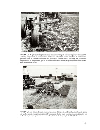 FIGURA 1.35 A ação exercida pelo arado de aiveca se restringe às camadas superiores do solo (15
a 20 cm) compactando as camadas mais profundas. Este efeito ocorre, pelo fato do implemento
apoiar-se sobre as camadas inferiores para revolver a camada arável. Isto pode ser facilmente
compreendido se imaginarmos que ao levantarmos um peso nossos pés pressionam o chão abaixo
(Foto cortesia de R. Weil).

FIGURA 1.36 Um sistema de cultivo conservacionista. O trigo está sendo colhido (no fundo) e a soja
está sendo plantada (em primeiro plano). O sistema de plantio direto permite economia de custos em
combustíveis, tempo e ajuda a conservar o solo. (Cortesia da Corporação de Allis-Chalmers)

48

 