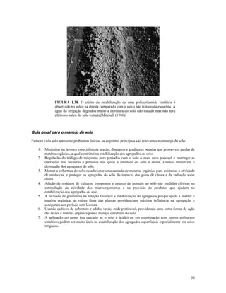 FIGURA 1.38. O efeito da estabilização de uma poliacrilamida sintética é
observado no sulco na direita comparado com o sulco não tratado da esquerda. A
água da irrigação degradou muito a estrutura do solo não tratado mas não teve
efeito no sulco do solo tratado.[Mitchell (1986)]

Guia geral para o manejo do solo
Embora cada solo apresente problemas únicos, os seguintes princípios são relevantes no manejo do solo:
1.
2.
3.
4.
5.
6.
7.

Minimizar na lavoura especialmente aração, discagem e gradagens pesadas que promovem perdas de
matéria orgânica, a qual contribui na estabilização dos agregados do solo.
Regulação do tráfego de máquinas para períodos com o solo o mais seco possível e restringir as
operações nas lavouras a períodos nos quais a umidade do solo é ótima, visando minimizar a
destruição dos agregados do solo.
Manter a cobertura do solo ou adicionar uma camada de material orgânico para estimular a atividade
de minhocas, e proteger os agregados do solo do impacto das gotas de chuva e da radiação solar
direta.
Adição de resíduos de culturas, compostos e esterco de animais ao solo são medidas efetivas na
estimulação da atividade dos microorganismos e na provisão de produtos que ajudam na
estabilização dos agregados do solo.
A inclusão de gramíneas na rotação favorece a estabilização de agregados porque ajuda a manter a
matéria orgânica, as raízes finas das plantas providenciam máxima influência na agregação e
asseguram um período sem lavoura.
Usando cultivos de cobertura e adubo verde, onde praticável, providencia uma outra forma de ação
das raízes e matéria orgânica para o manejo estrutural do solo.
A aplicação do gesso (ou calcário se o solo é ácido) ou em combinação com outros polímeros
sintéticos podem ser muito úteis na estabilização dos agregados superficiais especialmente em solos
irrigados.

50

 