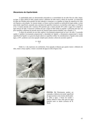 Mecanismo da Capilaridade
A capilaridade pode ser demonstrada colocando-se a extremidade de um tubo fino de vidro, limpo,
na água. A água subirá no tubo; quanto menor o diâmetro do tubo maior a altura de ascensão. As moléculas
de água são atraídas pelas paredes do tubo (adesão) e começam a se espalhar ao longo da superfície de vidro
em resposta a esta atração. Ao mesmo tempo, as forças coesivas mantêm as moléculas de água unidas e criam
uma tensão superficial, causando uma curvatura da superfície (menisco), na interface entre água e ar (Figura
2.5c). A menor pressão sob o menisco (P2) permite que a maior pressão (P1) sobre a água livre empurre a
água através do tubo. O processo continua até que a água no tubo tenha se erguido o suficiente para que seu
peso equilibre a diferença de pressão através do menisco (para maiores detalhes veja o Quadro 2.1).
A altura de ascensão em um tubo capilar é inversamente proporcional ao raio r do tubo. A ascensão
capilar é também inversamente proporcional a densidade do líquido e, diretamente proporcional à tensão
superficial do líquido e ao grau de atração adesiva à superfície sólida. Se considerarmos o líquido como sendo
água, a 20°C, podemos usar uma equação simples para calcular a altura de ascensão capilar h:
h = 0,15
r
Onde h e r são expressos em centímetros. Esta equação evidencia que quanto menor o diâmetro do
tubo, maior a força capilar, e maior a ascensão da água no tubo (Figura 2.6a).

FIGURA 2.4 Diariamente podem ser
constadas evidências da tensão superficial
da água (acima) como insetos deslocandose sobre a água, e forças de coesão e
adesão (abaixo) como uma gota de água
mantida entre os dedos (cortesia de R.
Weil).

63

 