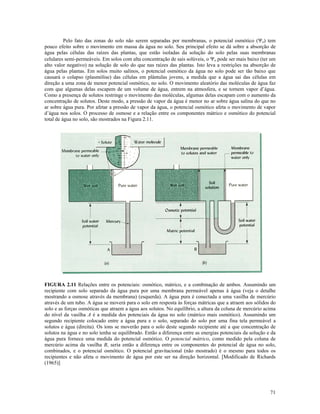 Pelo fato das zonas do solo não serem separadas por membranas, o potencial osmótico (Ψo) tem
pouco efeito sobre o movimento em massa da água no solo. Seu principal efeito se dá sobre a absorção de
água pelas células das raízes das plantas, que estão isoladas da solução do solo pelas suas membranas
celulares semi-permeáveis. Em solos com alta concentração de sais solúveis, o Ψo pode ser mais baixo (ter um
alto valor negativo) na solução de solo do que nas raízes das plantas. Isto leva a restrições na absorção de
água pelas plantas. Em solos muito salinos, o potencial osmótico da água no solo pode ser tão baixo que
causará o colapso (plasmólise) das células em plântulas jovens, a medida que a água sai das células em
direção a uma zona de menor potencial osmótico, no solo. O movimento aleatório das moléculas de água faz
com que algumas delas escapem de um volume de água, entrem na atmosfera, e se tornem vapor d’água.
Como a presença de solutos restringe o movimento das moléculas, algumas delas escapam com o aumento da
concentração de solutos. Deste modo, a pressão de vapor da água é menor no ar sobre água salina do que no
ar sobre água pura. Por afetar a pressão de vapor da água, o potencial osmótico afeta o movimento de vapor
d’água nos solos. O processo de osmose e a relação entre os componentes mátrico e osmótico do potencial
total de água no solo, são mostrados na Figura 2.11.

FIGURA 2.11 Relações entre os potenciais: osmótico, mátrico, e a combinação de ambos. Assumindo um
recipiente com solo separado da água pura por uma membrana permeável apenas à água (veja o detalhe
mostrando a osmose através da membrana) (esquerda). A água pura é conectada a uma vasilha de mercúrio
através de um tubo. A água se moverá para o solo em resposta às forças mátricas que a atraem aos sólidos do
solo e as forças osmóticas que atraem a água aos solutos. No equilíbrio, a altura da coluna de mercúrio acima
do nível da vasilha A é a medida dos potenciais da água no solo (mátrico mais osmótico). Assumindo um
segundo recipiente colocado entre a água pura e o solo, separado do solo por uma fina tela permeável a
solutos e água (direita). Os íons se moverão para o solo deste segundo recipiente até a que concentração de
solutos na água e no solo tenha se equilibrado. Então a diferença entre as energias potenciais da solução e da
água pura fornece uma medida do potencial osmótico. O potencial mátrico, como medido pela coluna de
mercúrio acima da vasilha B, seria então a diferença entre os componentes do potencial de água no solo,
combinados, e o potencial osmótico. O potencial gravitacional (não mostrado) é o mesmo para todos os
recipientes e não afeta o movimento de água por este ser na direção horizontal. [Modificado de Richards
(1965)]

71

 