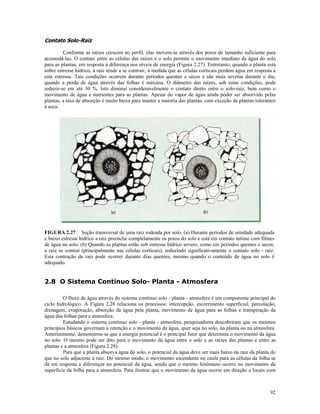 Contato Solo-Raiz
Conforme as raízes crescem no perfil, elas movem-se através dos poros de tamanho suficiente para
acomodá-las. O contato entre as células das raízes e o solo permite o movimento imediato da água do solo
para as plantas, em resposta à diferença nos níveis de energia (Figura 2.27). Entretanto, quando a planta está
sobre estresse hídrico, à raiz tende a se contrair, à medida que as células corticais perdem água em resposta a
este estresse. Tais condições ocorrem durante períodos quentes e secos e são mais severas durante o dia,
quando a perda de água através das folhas é máxima. O diâmetro das raízes, sob estas condições, pode
reduzir-se em até 30 %. Isto diminui consideravelmente o contato direto entre o solo-raiz, bem como o
movimento de água e nutrientes para as plantas. Apesar do vapor de água ainda poder ser absorvido pelas
plantas, a taxa de absorção é muito baixa para manter a maioria das plantas, com exceção de plantas tolerantes
à seca.

FIGURA 2.27 Seção transversal de uma raiz rodeada por solo. (a) Durante períodos de umidade adequada
e baixo estresse hídrico a raiz preenche completamente os poros do solo e está em contato íntimo com filmes
de água no solo. (b) Quando as plantas estão sob estresse hídrico severo, como em períodos quentes e secos,
a raiz se contrai (principalmente nas células corticais), reduzindo significativamente o contato solo - raiz.
Esta contração da raiz pode ocorrer durante dias quentes, mesmo quando o conteúdo de água no solo é
adequado.

2.8 O Sistema Contínuo Solo- Planta - Atmosfera
O fluxo de água através do sistema contínuo solo - planta - atmosfera é um componente principal do
ciclo hidrológico. A Figura 2.28 relaciona os processos: intercepção, escorrimento superficial, percolação,
drenagem, evaporação, absorção da água pela planta, movimento de água para as folhas e transpiração da
água das folhas para a atmosfera.
Estudando o sistema contínuo solo - planta - atmosfera, pesquisadores descobriram que os mesmos
princípios básicos governam a retenção e o movimento da água, quer seja no solo, na planta ou na atmosfera.
Anteriormente, demonstrou-se que a energia potencial é o principal fator que determina o movimento da água
no solo. O mesmo pode ser dito para o movimento da água entre o solo e as raízes das plantas e entre as
plantas e a atmosfera (Figura 2.28).
Para que a planta absorva água do solo, o potencial da água deve ser mais baixo na raiz da planta do
que no solo adjacente à raiz. Do mesmo modo, o movimento ascendente no caule para as células da folha se
dá em resposta a diferenças no potencial da água, sendo que o mesmo fenômeno ocorre no movimento da
superfície da folha para a atmosfera. Para ilustrar que o movimento da água ocorre em direção a locais com

92

 