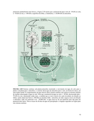 potenciais gradualmente mais baixos, a Figura 2.28 mostra que o potencial da água varia de –50 kPa no solo,
a –70 kPa na raiz, a –500 kPa a superfície da folha, e, finalmente, a –20.000 kPa na atmosfera.

FIGURA 2.28 Sistema contínuo solo-planta-atmosfera mostrando o movimento da água do solo para a
planta e da planta para a atmosfera, e o retorno desta água da atmosfera para o solo, em forma de chuva, em
uma região úmida. O comportamento da água através deste sistema contínuo está sujeito às mesmas relações
de energia relacionadas à água no solo. Note que o potencial da água no solo é - 50 kPa, decrescendo para 70 kPa na raiz, diminuindo ainda mais, a medida que se move através do caule da planta em direção as
folhas, sendo ainda mais baixo (- 500 kPa) na interface folha - atmosfera, de onde a água se move em direção
a atmosfera, onde seu potencial é de - 20.000 kPa. A água move-se de um potencial mais alto para um
potencial mais baixo. Note as taxas de divisão da água em precipitação e irrigação sugeridas na Figura para
este sistema contínuo.

93

 