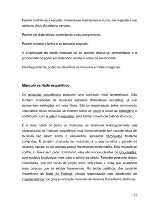 Podem contrair-se e encurtar, tornando-se mais tensos e duros, em resposta a um
estímulo vindo do sistema nervoso;

Podem ser distendidos, aumentando o seu comprimento;

Podem retornar à forma e ao tamanho originais.

A propriedade do tecido muscular de se contrair chama-se contratilidade e a
propriedade de poder ser distendido recebe o nome de elasticidade.

Histologicamente, podemos classificar os músculos em três categorias:




Músculo estriado esquelético

Os músculos esqueléticos possuem uma coloração mais avermelhada. São
também chamados de músculos estriados (fibrocélulas estriadas), já que
apresentam estriações em suas fibras. São os responsáveis pelos movimentos
voluntários; estes músculos se inserem sobre os ossos e sobre as cartilagens e
contribuem, com a pele e o esqueleto, para formar o invólucro exterior do corpo.

É o mais nobre de todos os músculos, se analisado histologicamente tem
característica de músculo esquelético, mas funcionalmente tem característica de
músculo liso assim como o esquelético, apresenta fibrocélulas bastante
compridas. É também chamado de miocárdio, é o que constitui a parede do
coração. Apesar de ser estriado,possui movimentos involuntários. Este músculo se
contrai e relaxa sem parar. Entretanto, elas são mononucleadas ou binucleadas,
com núcleos localizados mais para o centro da célula. Também possuem discos
intercalares, que são linhas de junção entre uma célula e outra, que aparecem
mais coradas que as estrias transversais. No tecido cardíaco, têm bastante
importância as fibras de Purkinje, células responsáveis pela distribuição do
impulso elétrico que gera a contração muscular às diversas fibrocélulas cardíacas.




                                                                               155
 
