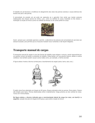 O trabalho em pé favorece a incidência do alargamento das veias das pernas (varizes) e causa edemas dos
tecidos dos pés e das pernas.

A penosidade da posição em pé pode ser agravada se o agricultor tiver ainda que manter posturas
inadequadas dos braços (acima do ombro, p.ex., como na colheita do cacau mostrada na foto abaixo ),
inclinação ou torção do tronco (como na colheita da laranja) ou de outras partes do corpo.




Assim, sempre que a atividade agrícola o permitir, a alternância de posturas (em pé-sentado-em pé) deve ser
sempre buscada, pois permite que os músculos recebam seus nutrientes e não fiquem fatigados.




Transporte manual de cargas
O transporte manual de cargas é uma das formas de trabalho mais antigas e comuns, sendo responsável por
um grande número de lesões e acidentes do trabalho. Estas lesões, em sua grande maioria, afetam a coluna
vertebral, mas também podem causar outros males como, por exemplo, a hérnia escrotal.

A figura abaixo mostra a técnica correta para o levantamento de cargas (caixa, barra, saco, etc.).




O joelho deve ficar adiantado em ângulo de 90 graus. Braços esticados entre as pernas. Dorso plano. Queixo
não dirigido para baixo. Pernas distanciadas entre si lateralmente. Carga próxima ao eixo vertical do corpo.
Tronco em mínima flexão.

Na figura abaixo, a técnica indicada para a movimentação lateral de carga (no caso, um barril) é a
seguinte: posição dos pés em ângulo de 90 graus, para evitar a torção do tronco.




                                                                                                       203
 
