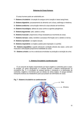35
Sistemas do Corpo Humano
O corpo humano pode ser subdividido em:
1 - Sistema circulatório: circulação do sangue como coração e vasos sanguíneos.
2 - Sistema digestório: processamento do alimento com a boca, estômago e intestinos.
3 - Sistema endócrino: comunicação interna do corpo através de hormônios.
4 - Sistema imunológico: defesa do corpo contra os agentes patogênicos.
5 - Sistema tegumentar: pele, cabelo e unhas.
6 - Sistema muscular: proporciona a força necessária ao movimento do corpo.
7 - Sistema nervoso: coleta, transfere e processa informação com o cérebro e nervos.
8 - Sistema reprodutor: os órgãos sexuais.
9 - Sistema respiratório: os órgãos usados para inspiração e o pulmão.
10 - Sistema esquelético: suporte estrutural e proteção através dos ossos. Junto com
músculos e articulações proporciona mobilidade ao corpo
11 - Sistema urinário: os rins e estruturas envolvidas na produção e excreção da urina.
1 - Sistema Circulatório (cardiovascular)
É um conjunto de órgãos responsáveis por levar oxigênio e nutrientes para o corpo.
O coração, os vasos sanguíneos e o sangue formam o sistema cardiovascular ou
circulatório (fig. 7). A circulação do sangue permite o transporte e a distribuição de
nutrientes, oxigênio e hormônios para as células de vários órgãos. O sangue também
transporta resíduos do metabolismo para que possam ser eliminados do corpo.
Fig. 7 - Sistema circulatório ou cardiovascular
Artéria
Veia
 