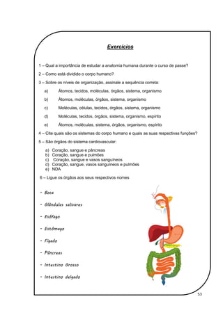 53
Exercícios
1 – Qual a importância de estudar a anatomia humana durante o curso de passe?
2 – Como está dividido o corpo humano?
3 – Sobre os níveis de organização, assinale a sequência correta:
a) Átomos, tecidos, moléculas, órgãos, sistema, organismo
b) Átomos, moléculas, órgãos, sistema, organismo
c) Moléculas, células, tecidos, órgãos, sistema, organismo
d) Moléculas, tecidos, órgãos, sistema, organismo, espírito
e) Átomos, moléculas, sistema, órgãos, organismo, espírito
4 – Cite quais são os sistemas do corpo humano e quais as suas respectivas funções?
5 – São órgãos do sistema cardiovascular:
a) Coração, sangue e pâncreas
b) Coração, sangue e pulmões
c) Coração, sangue e vasos sanguíneos
d) Coração, sangue, vasos sanguíneos e pulmões
e) NDA
6 – Ligue os órgãos aos seus respectivos nomes
- Boca
- Glãndulas salivares
- Esôfago
- Estômago
- Fígado
- Pâncreas
- Intestino Grosso
- Intestino delgado
 