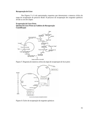 16
Recuperação do Licor
Nas Figuras 5 e 6 são apresentados esquemas que demonstram a natureza cíclica da
etapa de recuperação do processo Kraft. O processo de recuperação dos reagentes químicos
divide-se em três etapas:
Evaporação do Licor Preto
Queima do Licor Preto na Caldeira de Recuperação
Caustificação
Figura 5. Diagrama de natureza cíclica da etapa de recuperação do licor preto
Figura 6. Ciclos de recuperação de reagentes químicos
 