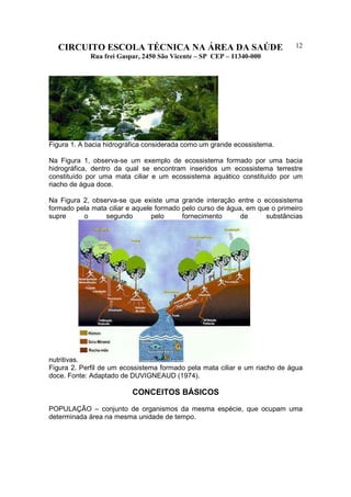 CIRCUITO ESCOLA TÉCNICA NA ÁREA DA SAÚDE
Rua frei Gaspar, 2450 São Vicente – SP CEP – 11340-000
12
Figura 1. A bacia hidrográfica considerada como um grande ecossistema.
Na Figura 1, observa-se um exemplo de ecossistema formado por uma bacia
hidrográfica, dentro da qual se encontram inseridos um ecossistema terrestre
constituído por uma mata ciliar e um ecossistema aquático constituído por um
riacho de água doce.
Na Figura 2, observa-se que existe uma grande interação entre o ecossistema
formado pela mata ciliar e aquele formado pelo curso de água, em que o primeiro
supre o segundo pelo fornecimento de substâncias
nutritivas.
Figura 2. Perfil de um ecossistema formado pela mata ciliar e um riacho de água
doce. Fonte: Adaptado de DUVIGNEAUD (1974).
CONCEITOS BÁSICOS
POPULAÇÃO – conjunto de organismos da mesma espécie, que ocupam uma
determinada área na mesma unidade de tempo.
 