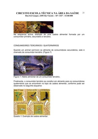 CIRCUITO ESCOLA TÉCNICA NA ÁREA DA SAÚDE
Rua frei Gaspar, 2450 São Vicente – SP CEP – 11340-000
21
Na seqüencia acima, exemplo de uma cadeia alimentar formada por um
consumidor primário, secundário e terciário.
CONSUMIDORES TERCIÁRIOS / QUATERNÁRIOS
Quando um animal carnívoro se alimenta de consumidores secundários, este é
chamado de consumidor terciário. (Figura 7)
Figura 7. Hábito alimentar de um consumidor terciário.
Finalmente, o consumidor terciário se constitui em alimento para os consumidores
quaternários que se encontram no topo da cadeia alimentar, conforme pode ser
observado no seguinte esquema:
Quadro 1: Exemplo de cadeia alimentar.
 