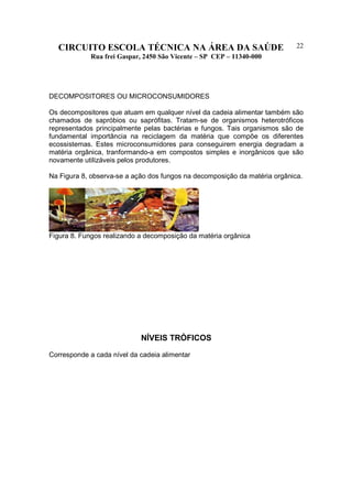 CIRCUITO ESCOLA TÉCNICA NA ÁREA DA SAÚDE
Rua frei Gaspar, 2450 São Vicente – SP CEP – 11340-000
22
DECOMPOSITORES OU MICROCONSUMIDORES
Os decompositores que atuam em qualquer nível da cadeia alimentar também são
chamados de sapróbios ou saprófitas. Tratam-se de organismos heterotróficos
representados principalmente pelas bactérias e fungos. Tais organismos são de
fundamental importância na reciclagem da matéria que compõe os diferentes
ecossistemas. Estes microconsumidores para conseguirem energia degradam a
matéria orgânica, tranformando-a em compostos simples e inorgânicos que são
novamente utilizáveis pelos produtores.
Na Figura 8, observa-se a ação dos fungos na decomposição da matéria orgânica.
Figura 8. Fungos realizando a decomposição da matéria orgânica
NÍVEIS TRÓFICOS
Corresponde a cada nível da cadeia alimentar
 