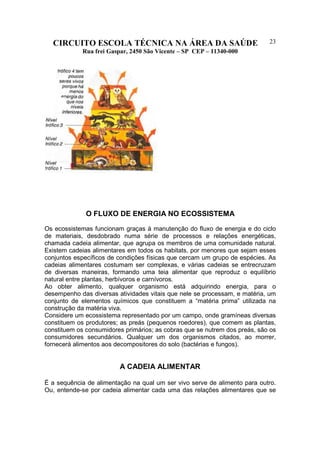 CIRCUITO ESCOLA TÉCNICA NA ÁREA DA SAÚDE
Rua frei Gaspar, 2450 São Vicente – SP CEP – 11340-000
23
O FLUXO DE ENERGIA NO ECOSSISTEMA
Os ecossistemas funcionam graças à manutenção do fluxo de energia e do ciclo
de materiais, desdobrado numa série de processos e relações energéticas,
chamada cadeia alimentar, que agrupa os membros de uma comunidade natural.
Existem cadeias alimentares em todos os habitats, por menores que sejam esses
conjuntos específicos de condições físicas que cercam um grupo de espécies. As
cadeias alimentares costumam ser complexas, e várias cadeias se entrecruzam
de diversas maneiras, formando uma teia alimentar que reproduz o equilíbrio
natural entre plantas, herbívoros e carnívoros.
Ao obter alimento, qualquer organismo está adquirindo energia, para o
desempenho das diversas atividades vitais que nele se processam, e matéria, um
conjunto de elementos químicos que constituem a “matéria prima” utilizada na
construção da matéria viva.
Considere um ecossistema representado por um campo, onde gramíneas diversas
constituem os produtores; as preás (pequenos roedores), que comem as plantas,
constituem os consumidores primários; as cobras que se nutrem dos preás, são os
consumidores secundários. Qualquer um dos organismos citados, ao morrer,
fornecerá alimentos aos decompositores do solo (bactérias e fungos).
A CADEIA ALIMENTAR
É a sequência de alimentação na qual um ser vivo serve de alimento para outro.
Ou, entende-se por cadeia alimentar cada uma das relações alimentares que se
 