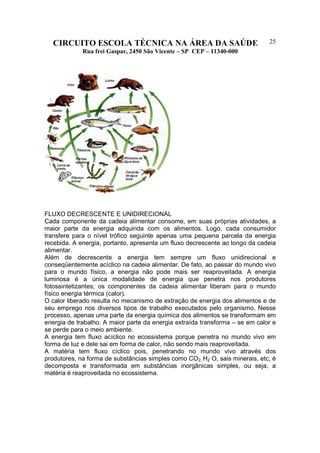 CIRCUITO ESCOLA TÉCNICA NA ÁREA DA SAÚDE
Rua frei Gaspar, 2450 São Vicente – SP CEP – 11340-000
25
FLUXO DECRESCENTE E UNIDIRECIONAL
Cada componente da cadeia alimentar consome, em suas próprias atividades, a
maior parte da energia adquirida com os alimentos. Logo, cada consumidor
transfere para o nível trófico seguinte apenas uma pequena parcela da energia
recebida. A energia, portanto, apresenta um fluxo decrescente ao longo da cadeia
alimentar.
Além de decrescente a energia tem sempre um fluxo unidirecional e
conseqüentemente acíclico na cadeia alimentar. De fato, ao passar do mundo vivo
para o mundo físico, a energia não pode mais ser reaproveitada. A energia
luminosa é a única modalidade de energia que penetra nos produtores
fotossintetizantes; os componentes da cadeia alimentar liberam para o mundo
físico energia térmica (calor).
O calor liberado resulta no mecanismo de extração de energia dos alimentos e de
seu emprego nos diversos tipos de trabalho executados pelo organismo. Nesse
processo, apenas uma parte da energia química dos alimentos se transformam em
energia de trabalho. A maior parte da energia extraída transforma – se em calor e
se perde para o meio ambiente.
A energia tem fluxo acíclico no ecossistema porque penetra no mundo vivo em
forma de luz e dele sai em forma de calor, não sendo mais reaproveitada.
A matéria tem fluxo cíclico pois, penetrando no mundo vivo através dos
produtores, na forma de substâncias simples como CO2, H2 O, sais minerais, etc, é
decomposta e transformada em substâncias inorgânicas simples, ou seja, a
matéria é reaproveitada no ecossistema.
 