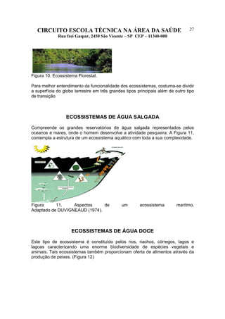 CIRCUITO ESCOLA TÉCNICA NA ÁREA DA SAÚDE
Rua frei Gaspar, 2450 São Vicente – SP CEP – 11340-000
27
Figura 10. Ecossistema Florestal.
Para melhor entendimento da funcionalidade dos ecossistemas, costuma-se dividir
a superfície do globo terrestre em três grandes tipos principais além de outro tipo
de transição
ECOSSISTEMAS DE ÁGUA SALGADA
Compreende os grandes reservatórios de água salgada representados pelos
oceanos e mares, onde o homem desenvolve a atividade pesqueira. A Figura 11,
contempla a estrutura de um ecossistema aquático com toda a sua complexidade.
Figura 11. Aspectos de um ecossistema marítmo.
Adaptado de DUVIGNEAUD (1974).
ECOSSISTEMAS DE ÁGUA DOCE
Este tipo de ecossistema é constituído pelos rios, riachos, córregos, lagos e
lagoas caracterizando uma enorme biodiversidade de espécies vegetais e
animais. Tais ecossistemas também proporcionam oferta de alimentos através da
produção de peixes. (Figura 12)
 