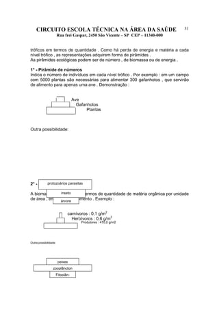 CIRCUITO ESCOLA TÉCNICA NA ÁREA DA SAÚDE
Rua frei Gaspar, 2450 São Vicente – SP CEP – 11340-000
31
tróficos em termos de quantidade . Como há perda de energia e matéria a cada
nível trófico , as representações adquirem forma de pirâmides .
As pirâmides ecológicas podem ser de número , de biomassa ou de energia .
1° - Pirâmide de números
Indica o número de indivíduos em cada nível trófico . Por exemplo : em um campo
com 5000 plantas são necessárias para alimentar 300 gafanhotos , que servirão
de alimento para apenas uma ave . Demonstração :
Ave
Gafanhotos
Plantas
Outra possibilidade:
2° - Pirâmide de biomassa
A biomassa é expressa em termos de quantidade de matéria orgânica por unidade
de área , em um dado momento . Exemplo :
carnívoros : 0,1 g/m2
Herbívoros : 0,6 g/m2
Produtores : 470,0 g/m2
Outra possibilidade:
protozoários parasitas
inseto
árvore
peixes
zooplâncton
Fitoplân-
 